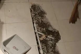 景宁卫生间漏水检测电话